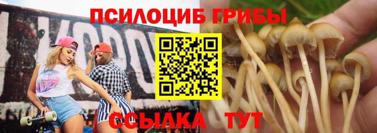 Псилоцибиновые грибы мицелий Борисоглебск