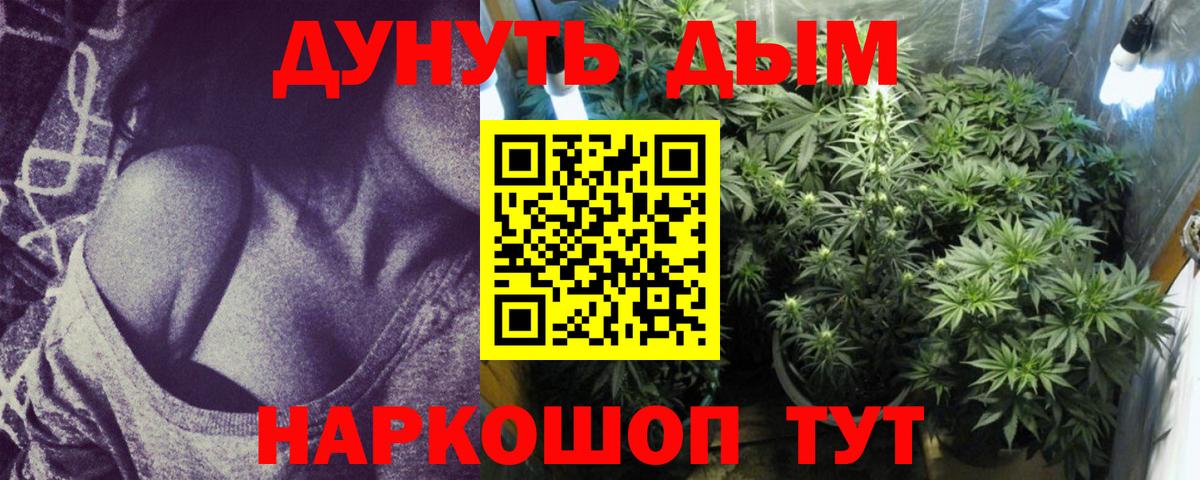 Шишки марихуана конопля Борисоглебск